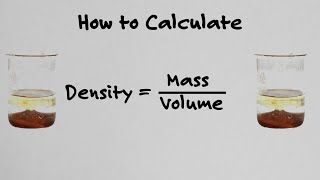 How To Calculate Density  With Examples [upl. by Aneez]