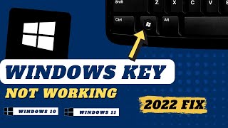 How to Fix Windows Key Not Working on Keyboard  2024 Updated [upl. by Brine]