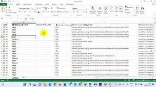 Lec06Analyzing Research Data Using Maxqda [upl. by Lonergan]