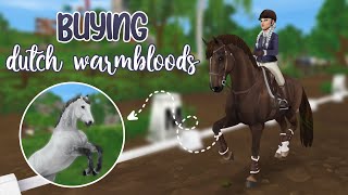 Buying NEW Dutch Warmbloods  Star Stable Online [upl. by Santana]