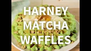 Matcha Tea Waffle Recipe [upl. by Arand561]