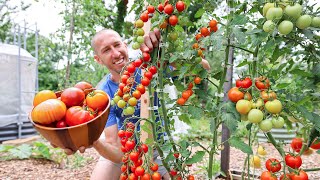 Unbelievable Backyard Garden Harvest So Much Food in So Little Space 🤯 [upl. by Keli]