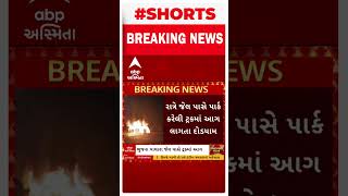 Bhuj Fire In Truck  પાલાર જેલ પાસે ટ્રકમાં અચાનક લાગી આગ માલસામન બળીને થયો ખાખ [upl. by Elin]