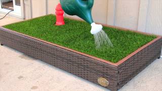 The Porch Potty™ — The Original Grass Litterbox For Dogs [upl. by Prochora]