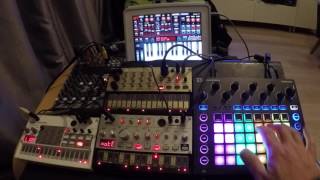 Volca Circuit Sunrizer Poison 202 House Classics Session 2  808 State Pacific State [upl. by Id]