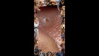 Blackhead Removal  14 Blackhead extraction  blackheads [upl. by Neron]