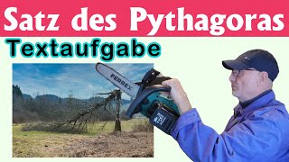 Satz des Pythagoras  Textaufgaben – Abgebrochener Baum [upl. by Boswell]