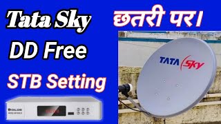 DD Free Dish On Tata Sky AntennaTata sky pe dd free dish kaise set kare [upl. by Taggart542]