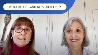 What Do Lice and Nits Look Like  LiceDoctors [upl. by Graig]