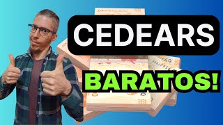 CEDEARS BUENOS y BARATOS 💰 Oportunidades para INVERTIR 2024 [upl. by Ahcsropal125]