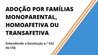 Adoção por famílias monoparental homoafetiva ou transafetiva  Resolução nº 532 do CNJ [upl. by Eiddal]