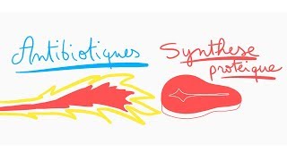 🔴 ANTIBIOTIQUES CONTRE LA SYNTHESE PROTEIQUE EN 10 MIN   DR ASTUCE [upl. by Alakam]