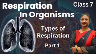 Class 7 Science Chapter 6  Respiration In Organisms  Ncert  Part 1 [upl. by Kokoruda]