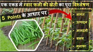 ग्वार फली की खेती कब और कैसे करें  Cluster Beans Farming In India  How to Grow Cluster Beans [upl. by Pappas]