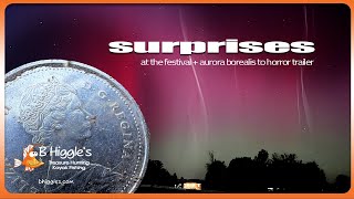 SURPRISES Metal Detecting at the Festival  AURORA Borealis to Horror Trailer [upl. by Drofdarb235]