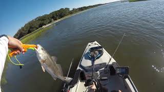 Im Back Redfish and Flounder Action Swansboro NC September 2021 [upl. by Jacqueline]