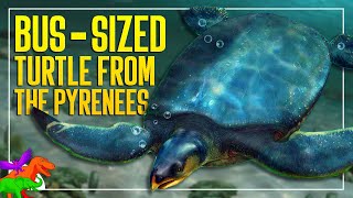 Scientists Unearth a Prehistoric CarSized Marine Turtle  Leviathanochelys  Paleo News 2022 [upl. by Maighdlin]