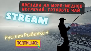 🔴Поездка на море 🔴 Медное встречайготовьте чай 🔴МЕДНОЕКАРПЫ🔴 🔥 Stream Русская Рыбалка 4🔴 [upl. by Atul813]