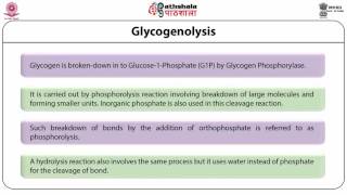 Glycogenolysis [upl. by Kenay]