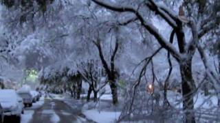 Dallas TX Record Snowfall Feb11th 2010 [upl. by Kiel]