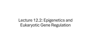 BIOL 001 Lecture 122 Epigenetics and Eukaryotic Gene Regulation [upl. by Aonehc145]