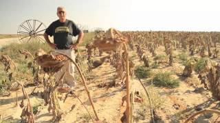 Recycling Water in the Negev Desert Israel [upl. by Lemcke]