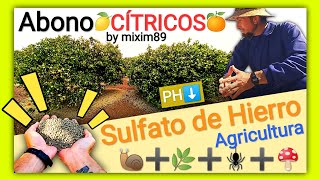 Abonado en Cítricos 5 Usos del SULFATO de HIERRO en Agricultura Naranjos y Limoneros by mixim89 [upl. by Cris491]