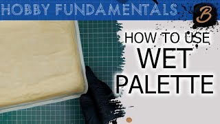 HOW TO MAKE AND USE A WET PALETTE A StepByStep Guide [upl. by Phonsa228]