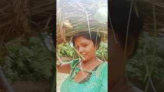 Alicorn videos bhojpuri [upl. by Bittencourt]