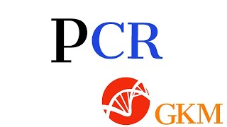 Polymerase Chain Reaction  PCR تفاعل البلمرة المتسلسل  بي سي ار [upl. by Anis32]