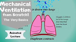 Mechanical Ventilation basic principles [upl. by Nyrem]