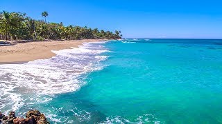 Dominican Beach with Waves Rolling  Natural Background With Ocean Sounds [upl. by Merrie]