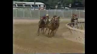 Affirmed vs Alydar  1978 Preakness Stakes [upl. by Almeria261]