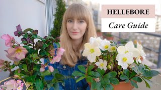 How to Grow Hellebores in Pots  Complete Care Guide [upl. by Revlis441]