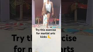 Sajna ve sajna try this exercise for martial arts kicks ytshorts hindisongs trendingsong [upl. by Hanus]