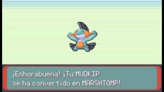 Evolucion de Mudkip a Marshtomp  Pokemon Esmeralda [upl. by Ativla]