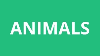 How To Pronounce Animals  Pronunciation Academy [upl. by Nhguav]