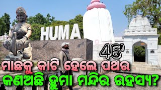 The Humma Song – Lyric Video  Shraddha Kapoor  Aditya Roy Kapur  AR Rahman Badshah Tanishk [upl. by Kerrie]