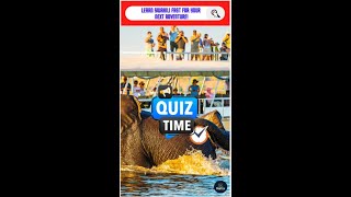 Swahili Quiz Challenge Essential Travel Vocabulary [upl. by Nyliahs432]