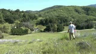 Ecology of Valley Oaks in California [upl. by Alrzc]