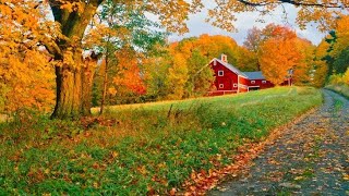 Beautiful Fall colors in America හිම වැටෙන්න කලින්😍 America Travel vlog [upl. by Boyer]