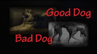 Good Dog Bad Dog a twofer for mans best friend [upl. by Ynaiffit]