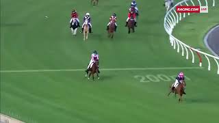 Moonee Valley Large Pony Race [upl. by Eehtomit]