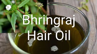 Bhringraj Hair Oil கரிசலாங்கண்ணி எண்ணெய்Karisalankanni Hair Oil For Hair Growth in Tamil [upl. by Thgiwed442]