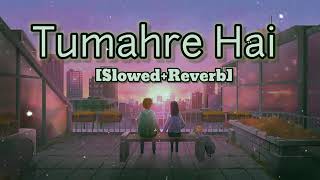 Tumhare hai lofi viral sonf trending song viralmusic trendingsong music song [upl. by Alisa]