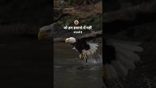 Motivational💯 video motivation🔥shahidstr💪kingmotivationstudymotivation♥️ motivationline [upl. by Gussie270]