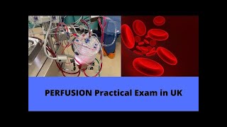 PERFUSION Practical Exam in UK [upl. by Nire]