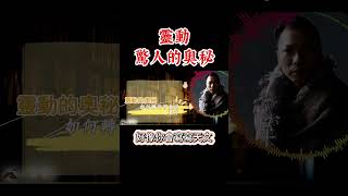 靈動驚人的奧秘！！ shortvideo shorts 靈元院 靈修 靈動 [upl. by Toland18]