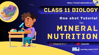 Mineral Nutrition  Class 11 BIOLOGY  NEET [upl. by Aleydis]