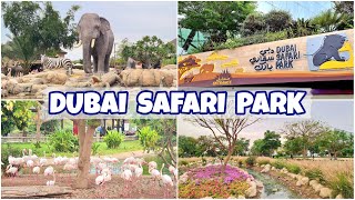 DUBAI SAFARI PARK ADVENTURE  Dubai Safari Park Full Tour [upl. by Brianna384]